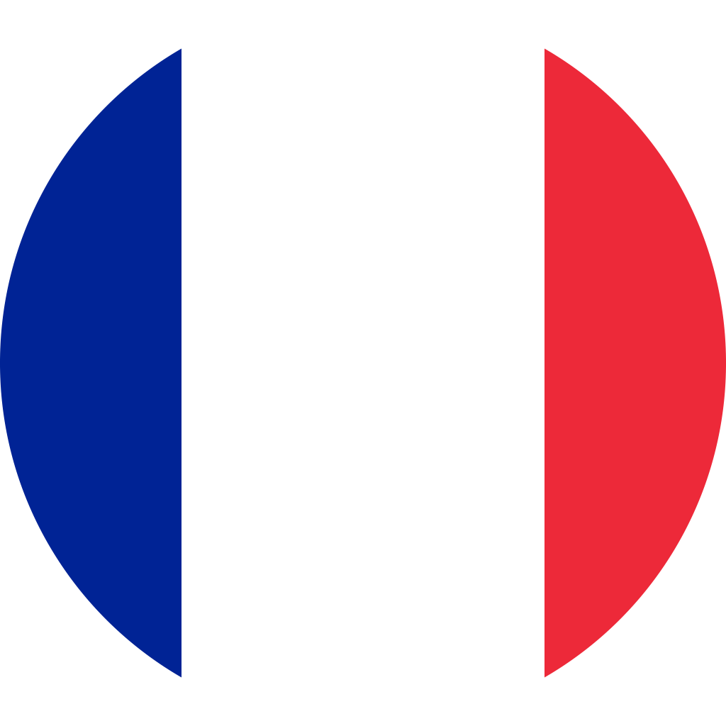 flag of france